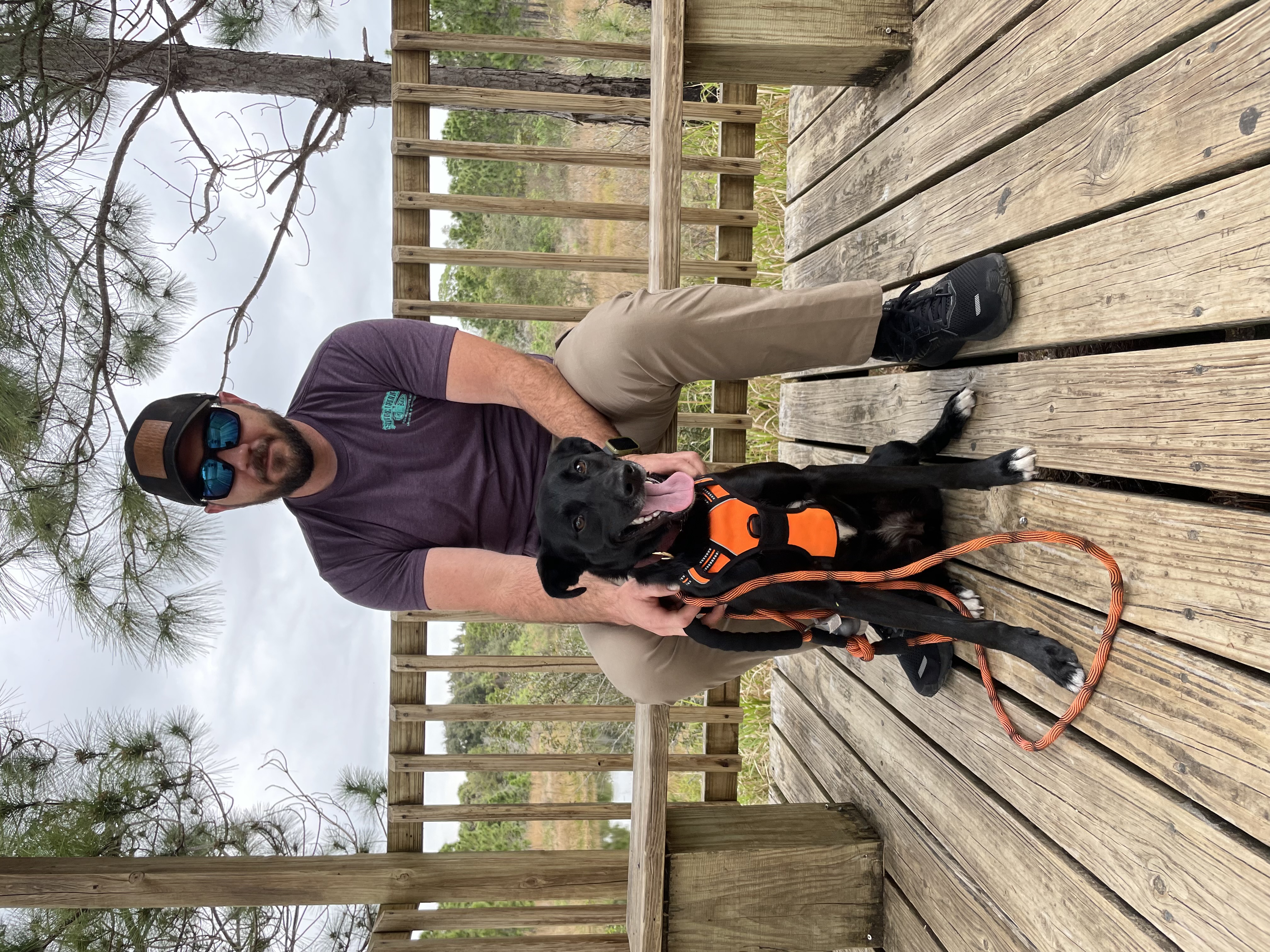 Brandon, owner of Black Dog Property Guardians